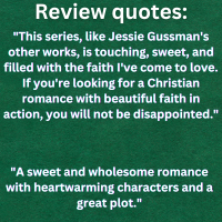 Heartland Cowboy Christmas Series 9-book Paperback Bundle